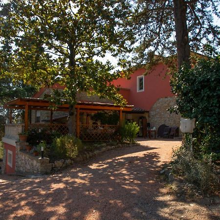 Agriturismo Terre Della Rinascita Castelnuovo della Misericordia Zewnętrze zdjęcie