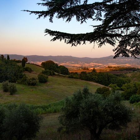 Agriturismo Terre Della Rinascita Castelnuovo della Misericordia Zewnętrze zdjęcie