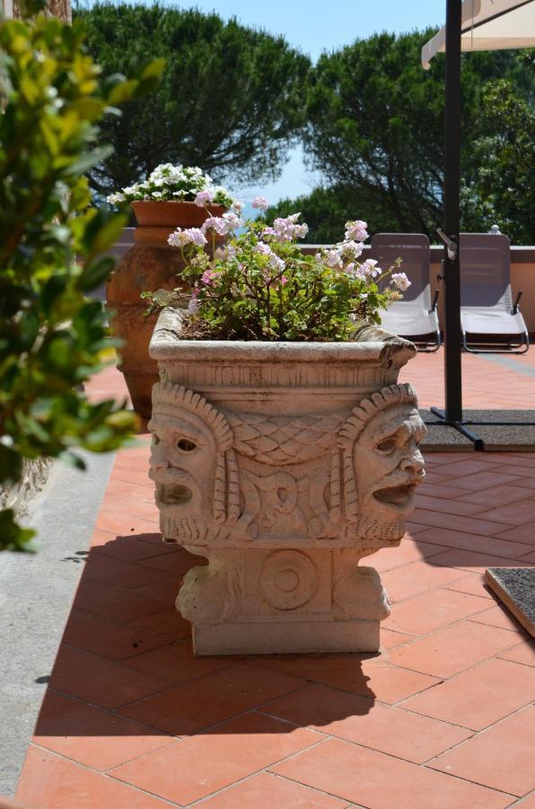 Agriturismo Terre Della Rinascita Castelnuovo della Misericordia Zewnętrze zdjęcie