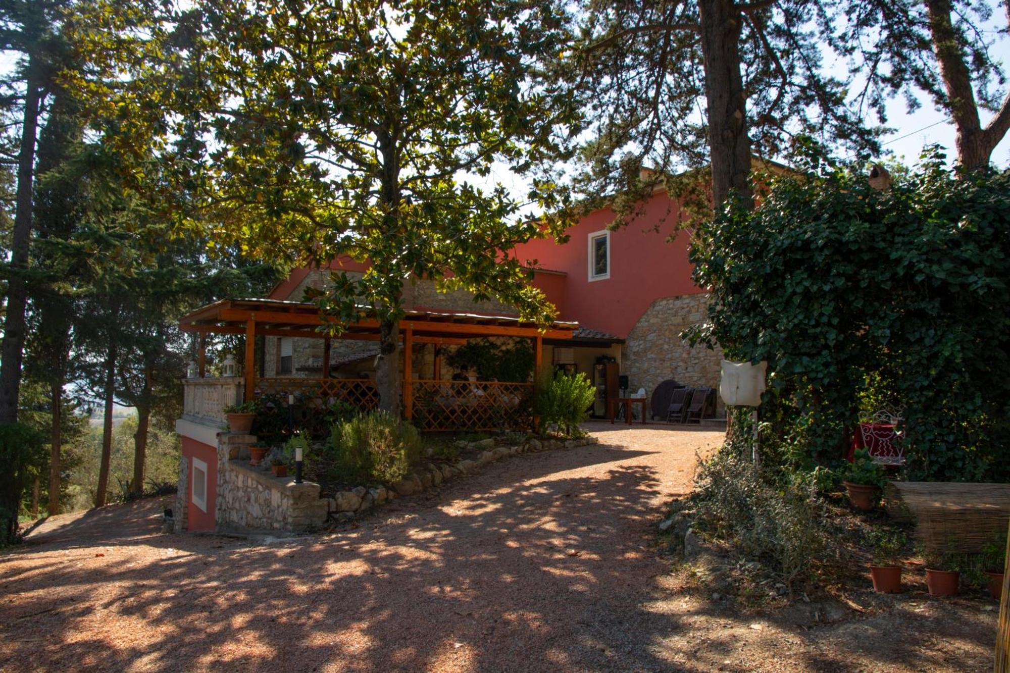 Agriturismo Terre Della Rinascita Castelnuovo della Misericordia Zewnętrze zdjęcie