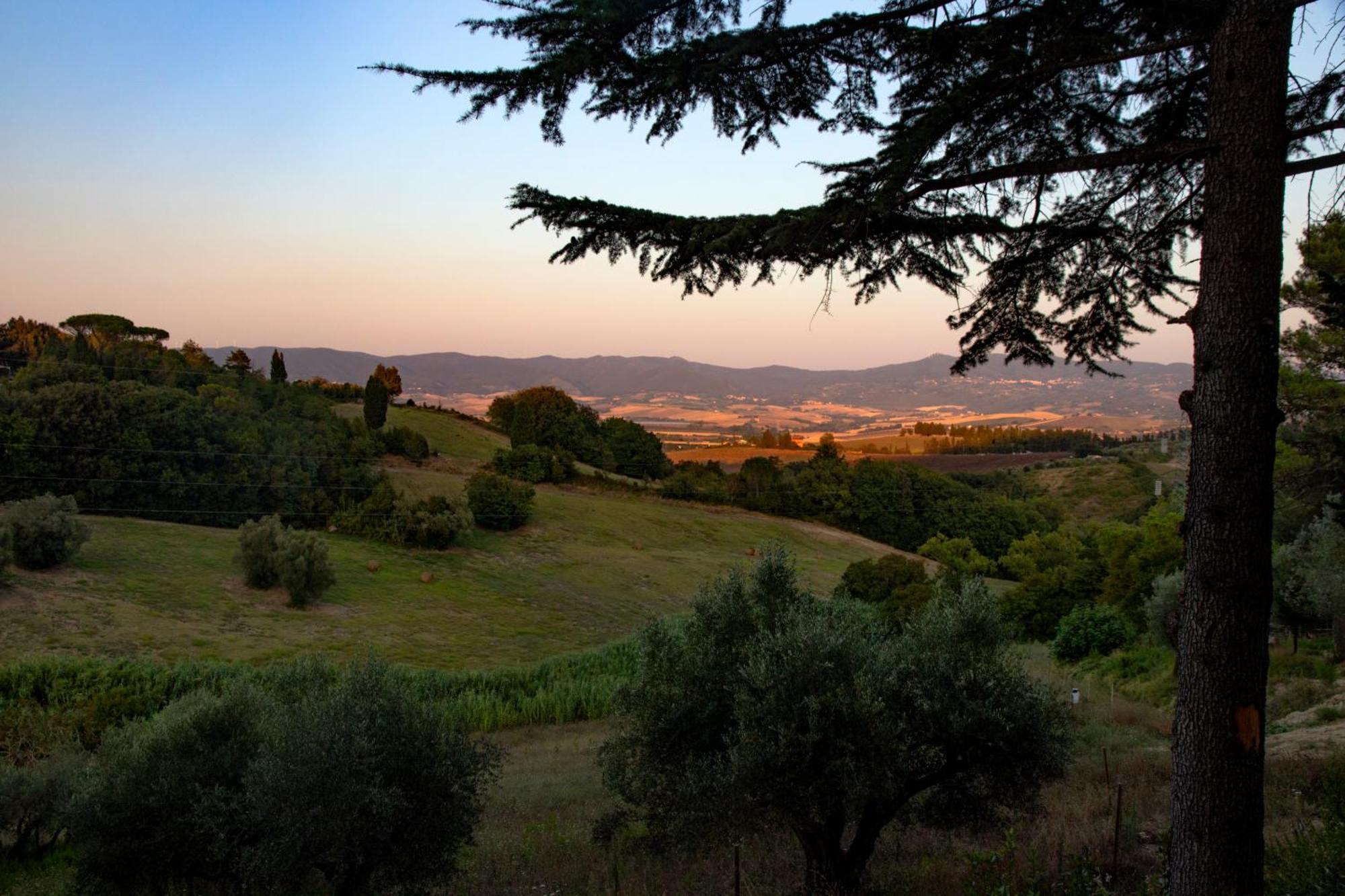 Agriturismo Terre Della Rinascita Castelnuovo della Misericordia Zewnętrze zdjęcie