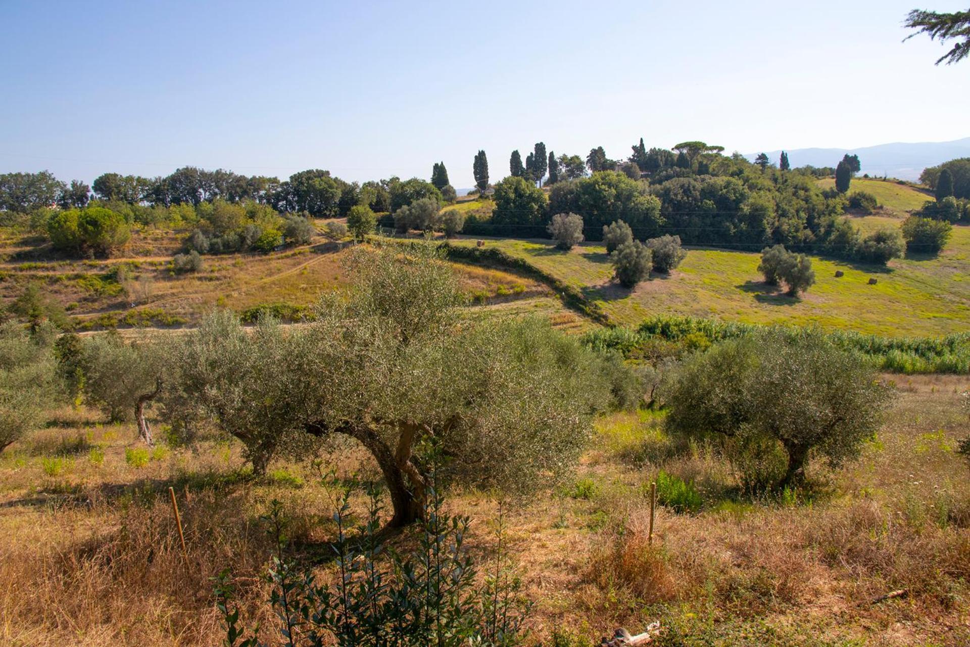 Agriturismo Terre Della Rinascita Castelnuovo della Misericordia Zewnętrze zdjęcie