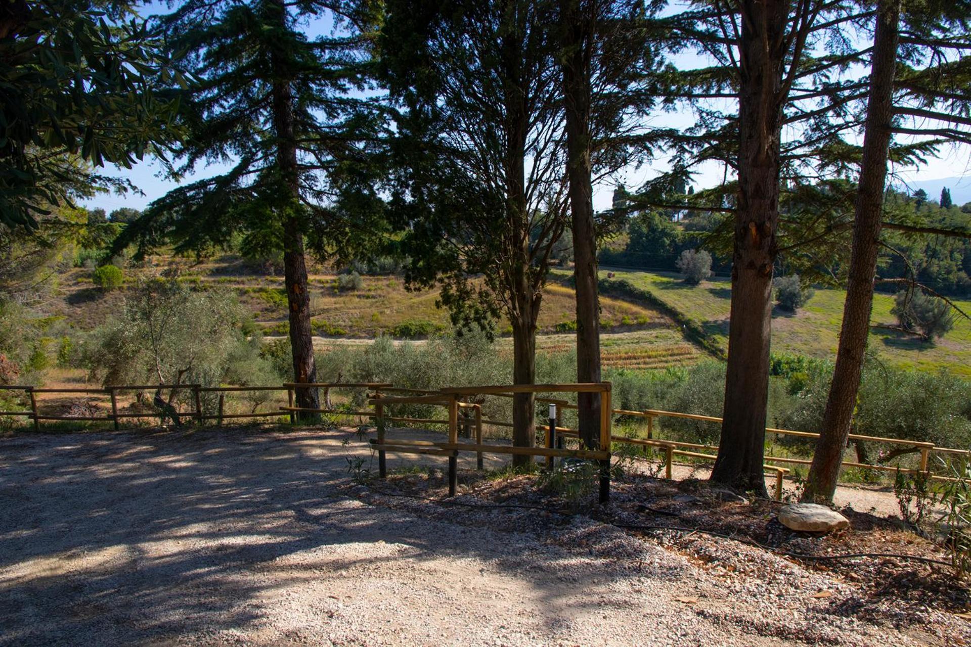 Agriturismo Terre Della Rinascita Castelnuovo della Misericordia Zewnętrze zdjęcie