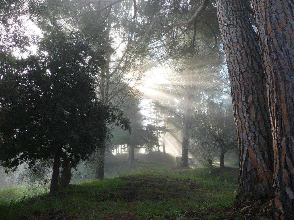 Agriturismo Terre Della Rinascita Castelnuovo della Misericordia Zewnętrze zdjęcie